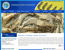 Tablet Screenshot of myanmarshrimpassociation.com